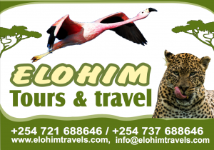 Elohim Travel